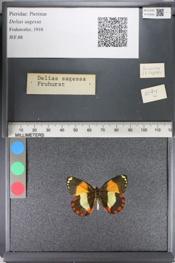 Media type: image;   Entomology 128264